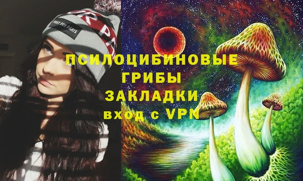 МДПВ Богданович