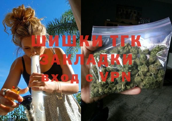 ГАЛЛЮЦИНОГЕННЫЕ ГРИБЫ Белокуриха