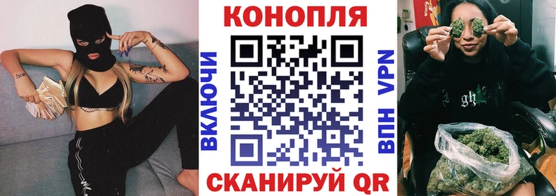 Шишки марихуана сатива Белокуриха
